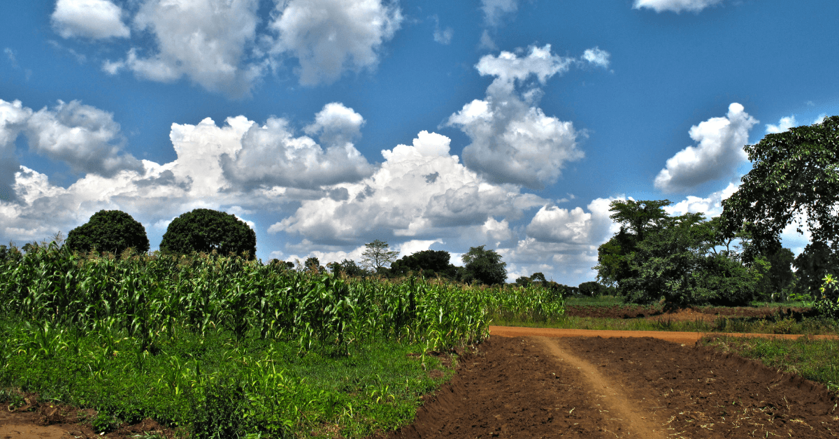 The Returns of Owning a Farm